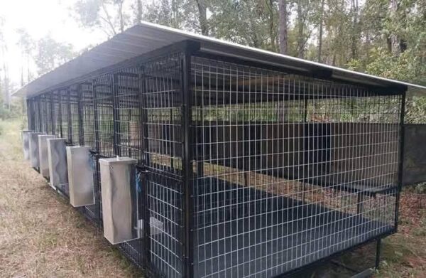 Standard 5-Bay Dog Kennel - Image 5