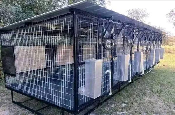Standard 5-Bay Dog Kennel with Fans - Image 2