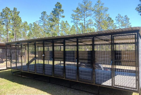 Standard Six-Bay Dog Kennel with Insulated Wooden Dog Houses