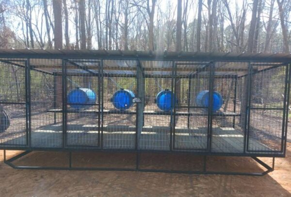 Standard Four-Bay Dog Kennel with Barrel Dog Houses - Image 2